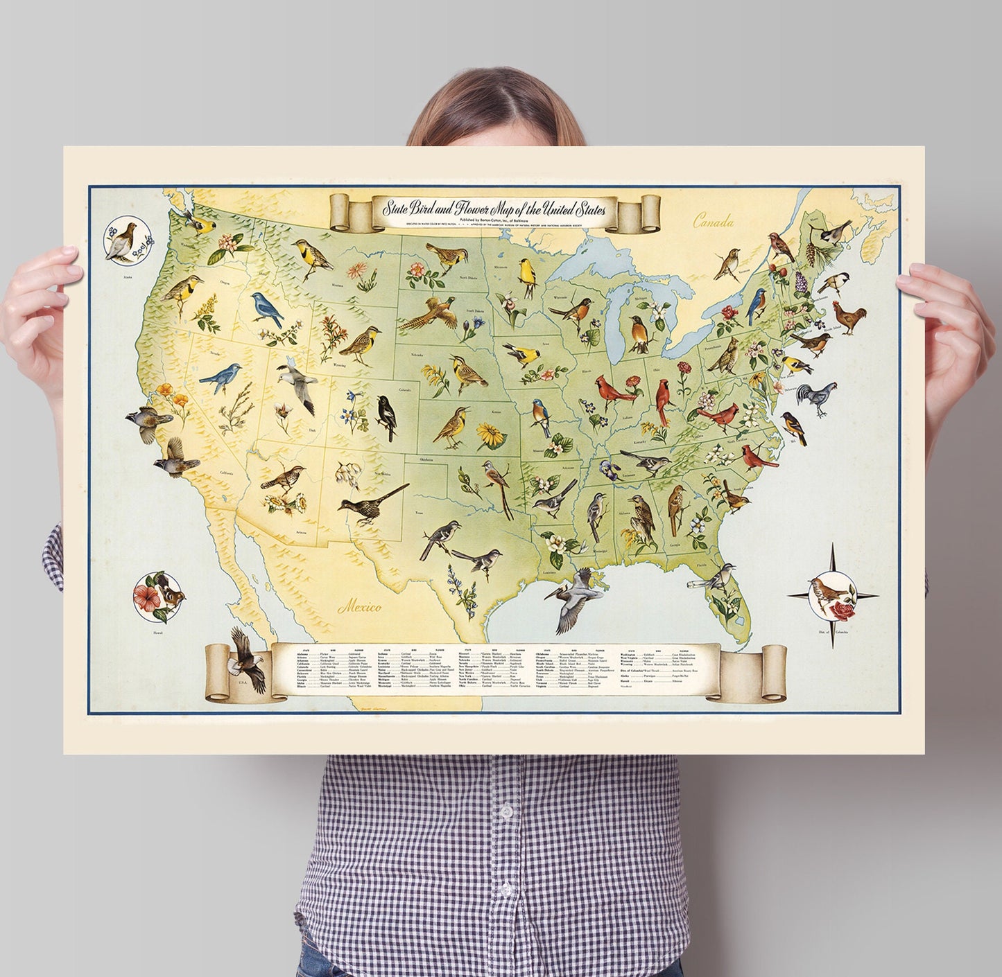 State Birds and Flowers of USA - 1965 - Reproduction Print