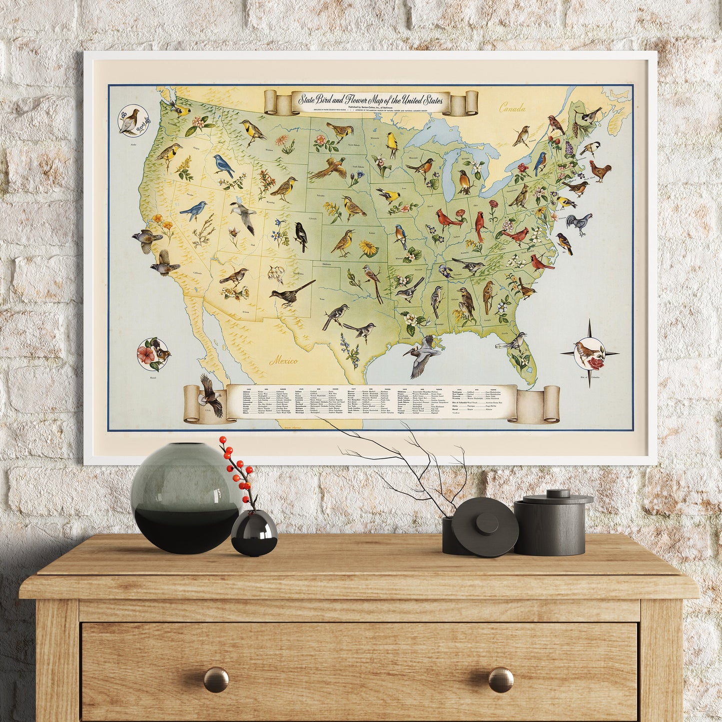 State Birds and Flowers of USA - 1965 - Reproduction Print