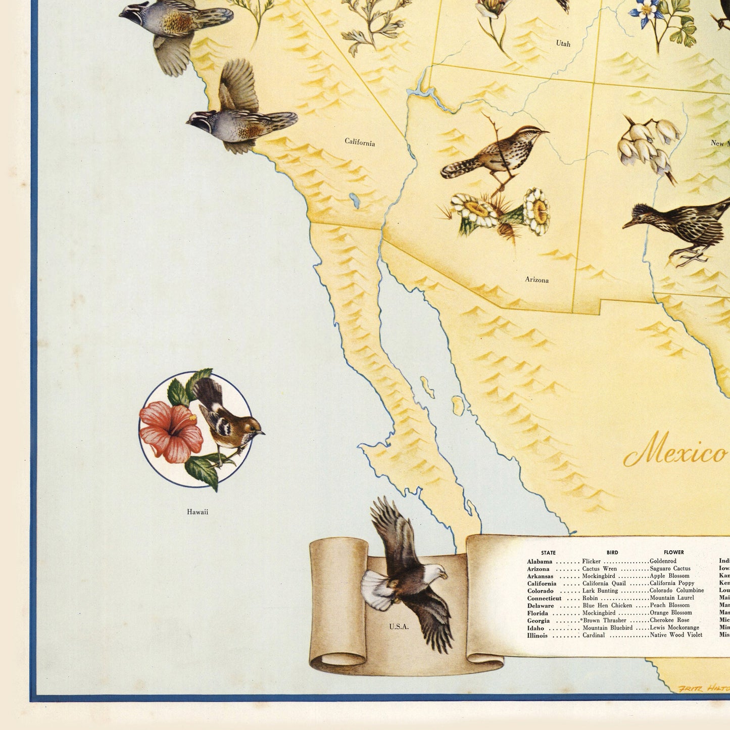 State Birds and Flowers of USA - 1965 - Reproduction Print
