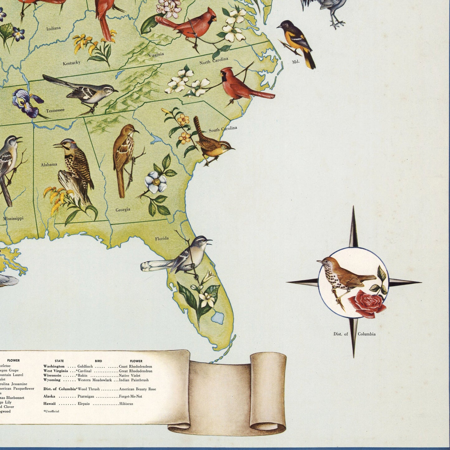 State Birds and Flowers of USA - 1965 - Reproduction Print