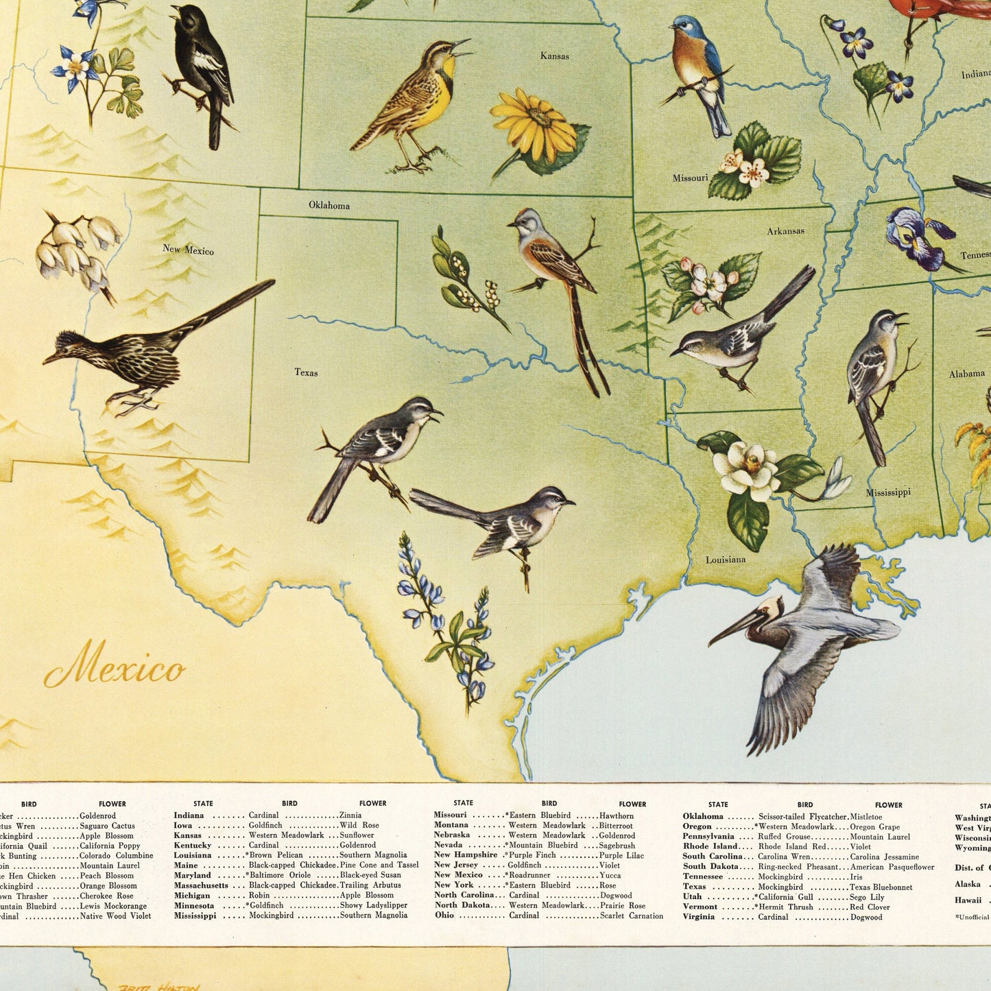 State Birds and Flowers of USA - 1965 - Reproduction Print