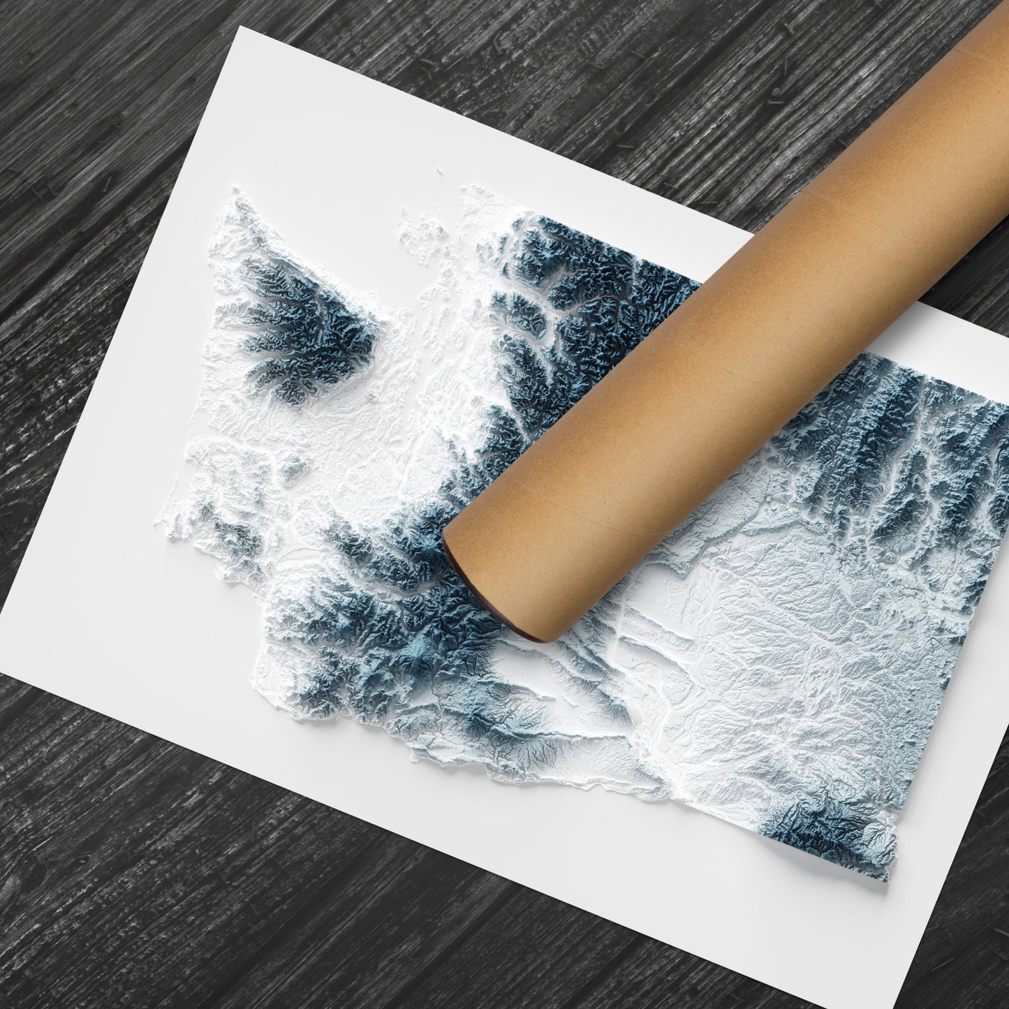 Washington Art Relief Map - 2D Print - USA Geology - 2D Shaded Relief Map - United States of America