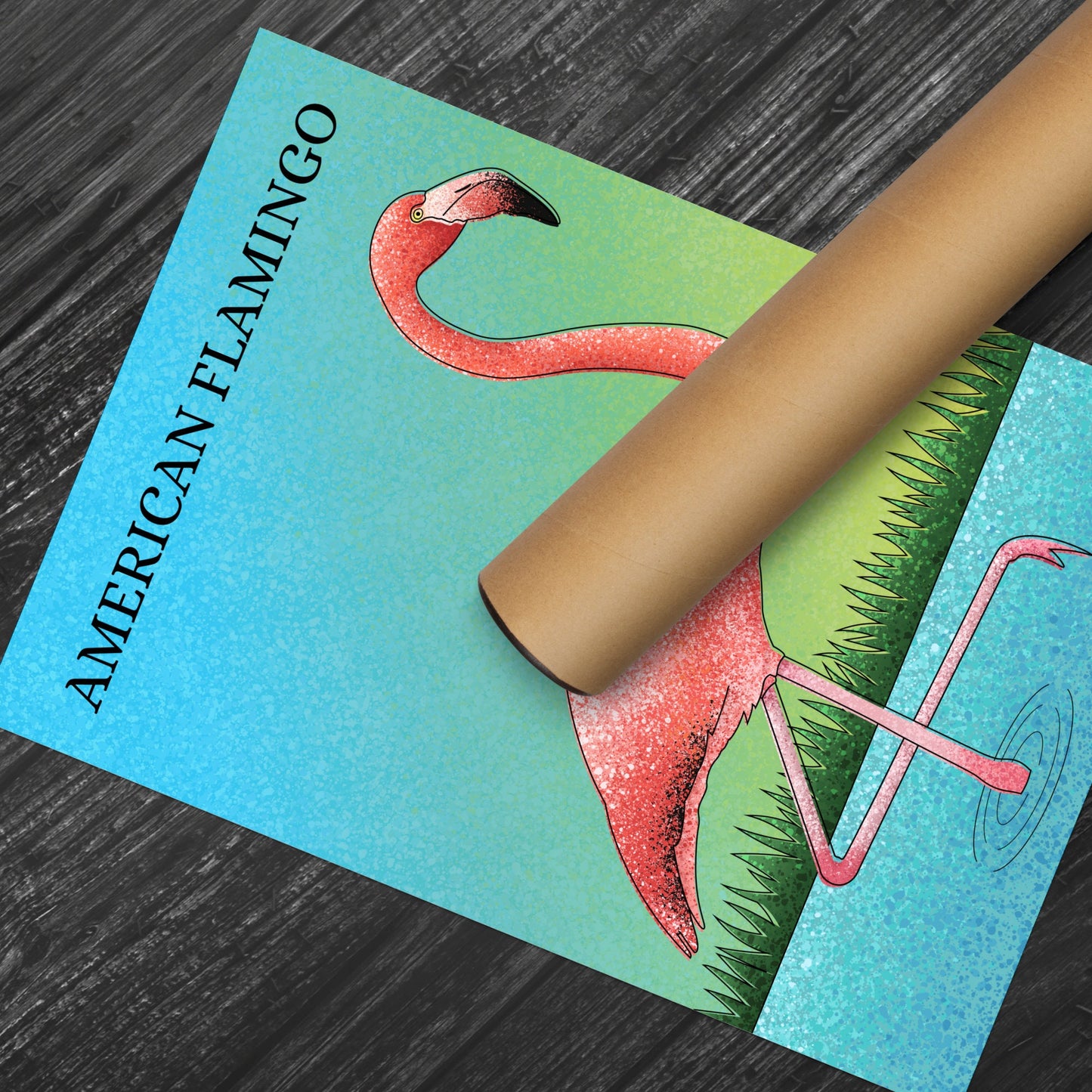 Flamingo Print -American Flamingo - Illustration - Zoology