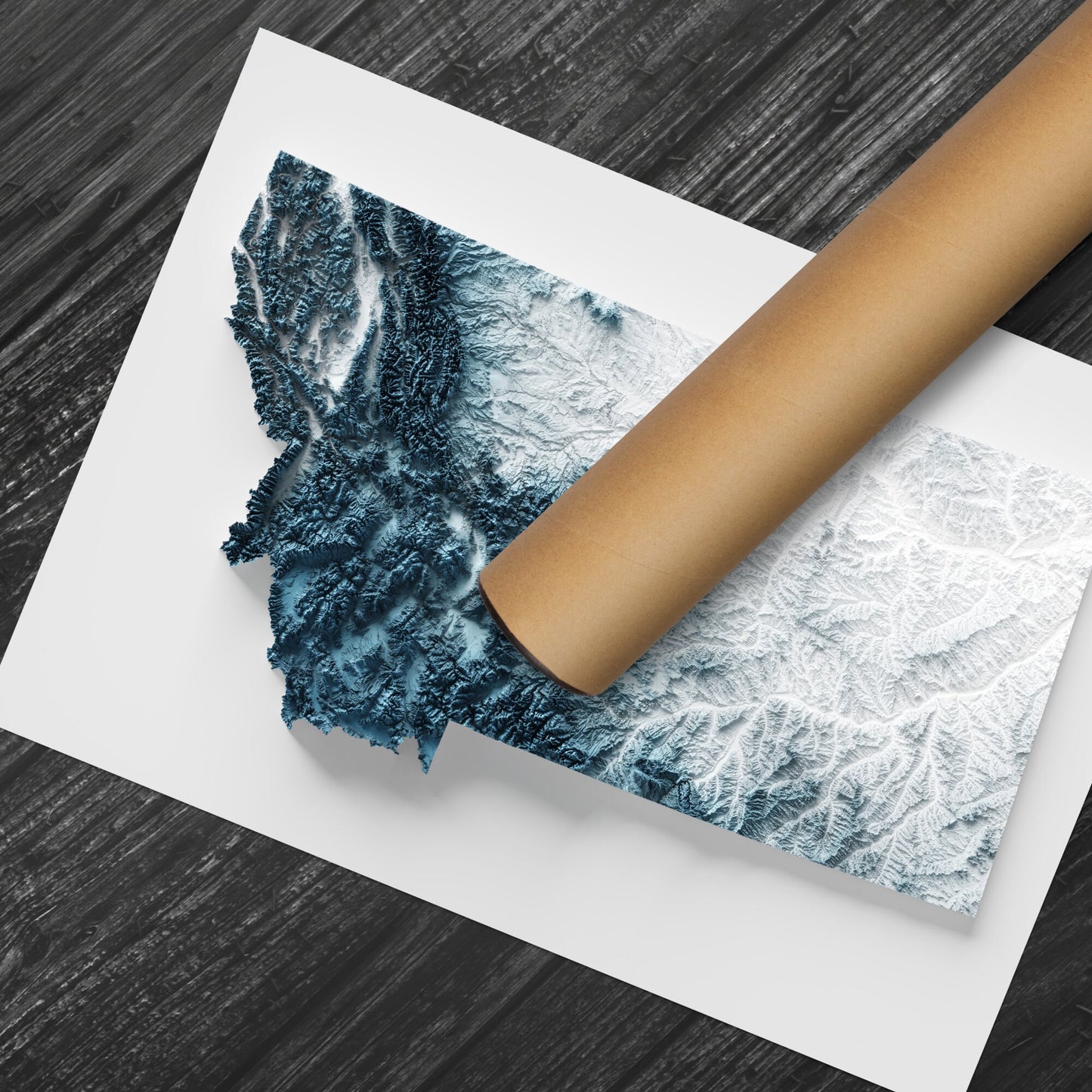 Montana Art Relief Map - 2D Print - USA Geology - 2D Shaded Relief Map - United States of America