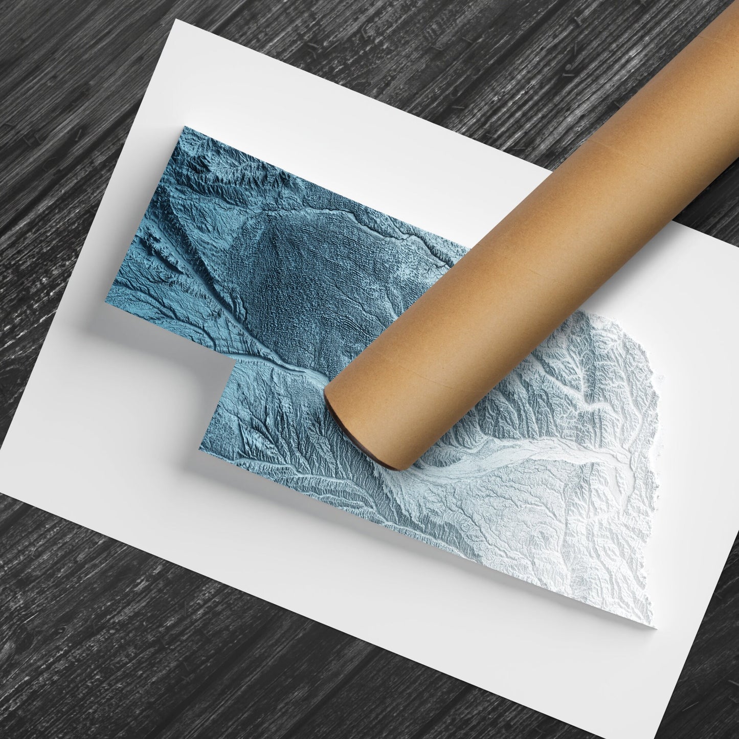 Nebraska Art Relief Map - 2D Print - USA Geology - 2D Shaded Relief Map - United States of America