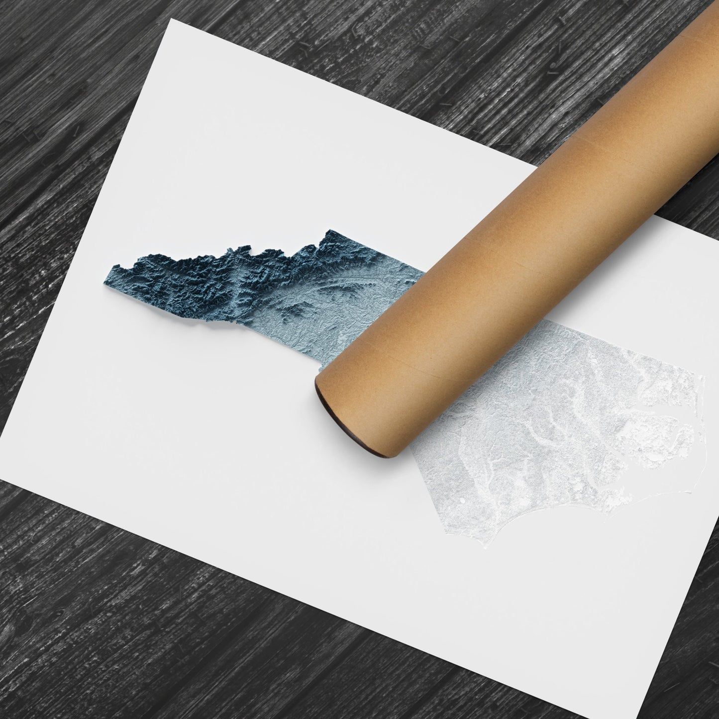 North Carolina Art Relief Map - 2D Print - USA Geology - 2D Shaded Relief Map - United States of America
