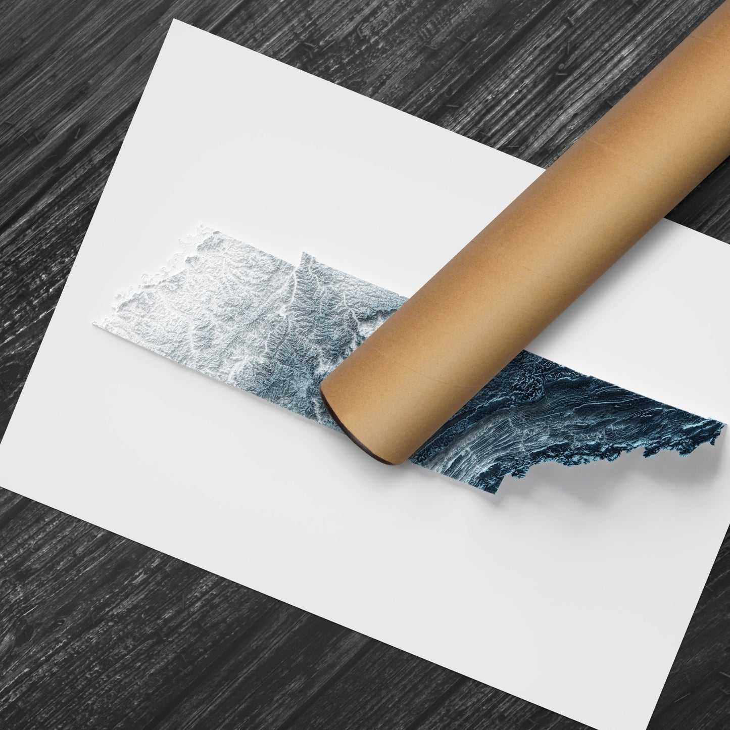 Tennessee Art Relief Map - 2D Print - USA Geology - 2D Shaded Relief Map - United States of America