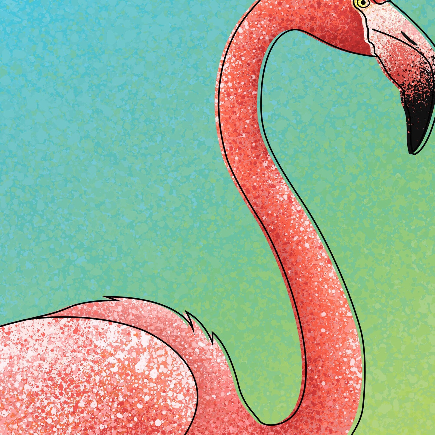 Flamingo Print -American Flamingo - Illustration - Zoology