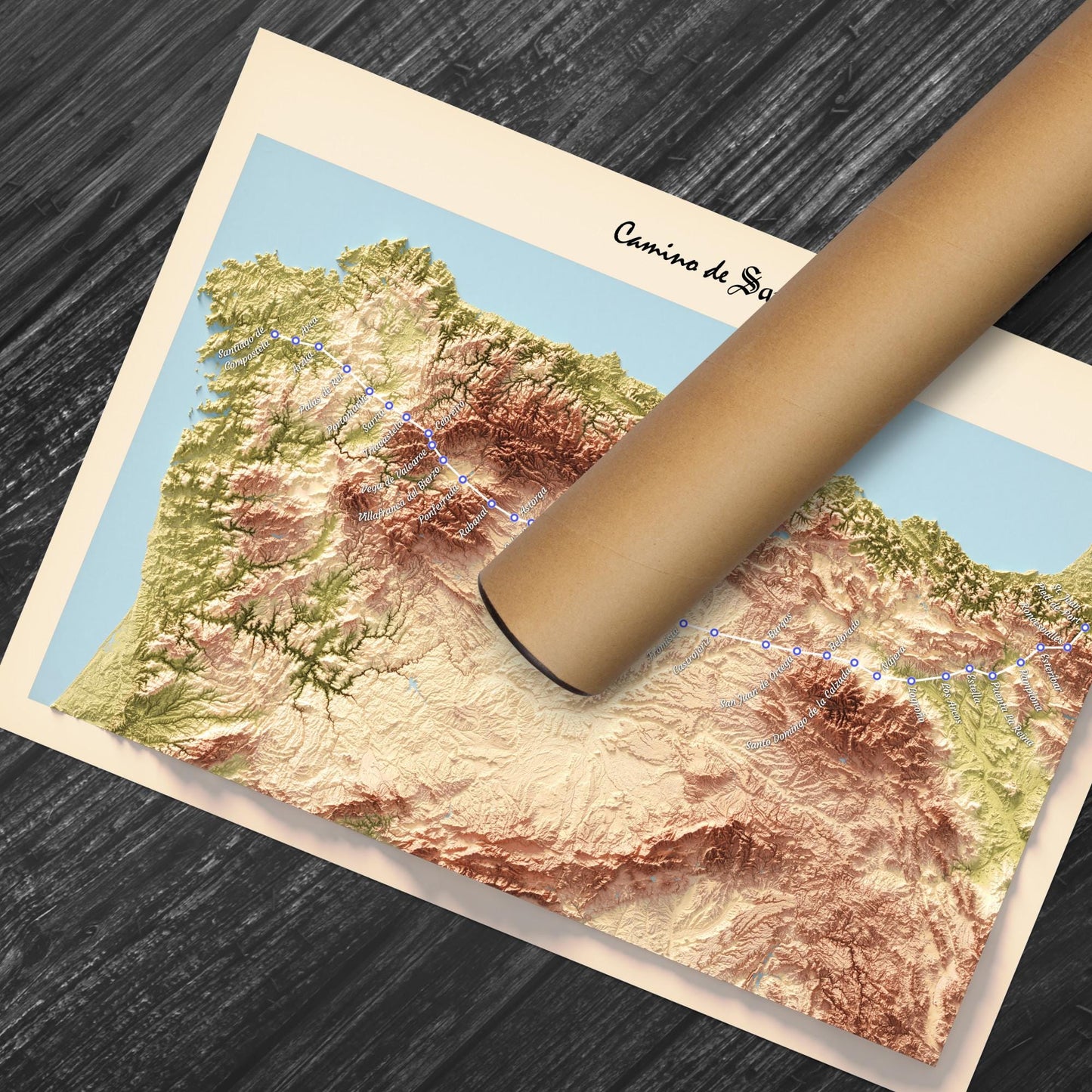 Camino de Santiago 3D Shaded Trail Map | Pilgrimage Route Wall Art | A3, A2, A1