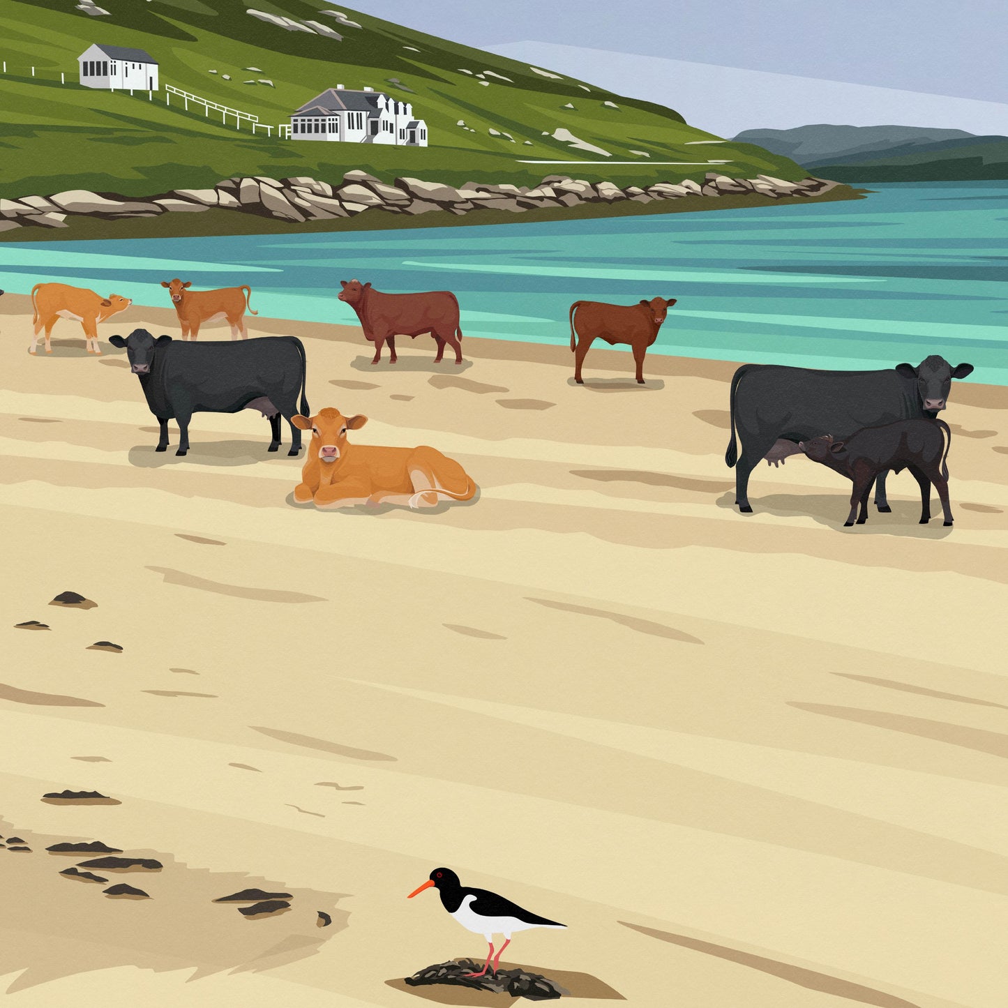 Vatersay – Outer Hebrides Travel Poster | Modern Coastal Wall Art | Cows on the Beach | Scottish Island Print