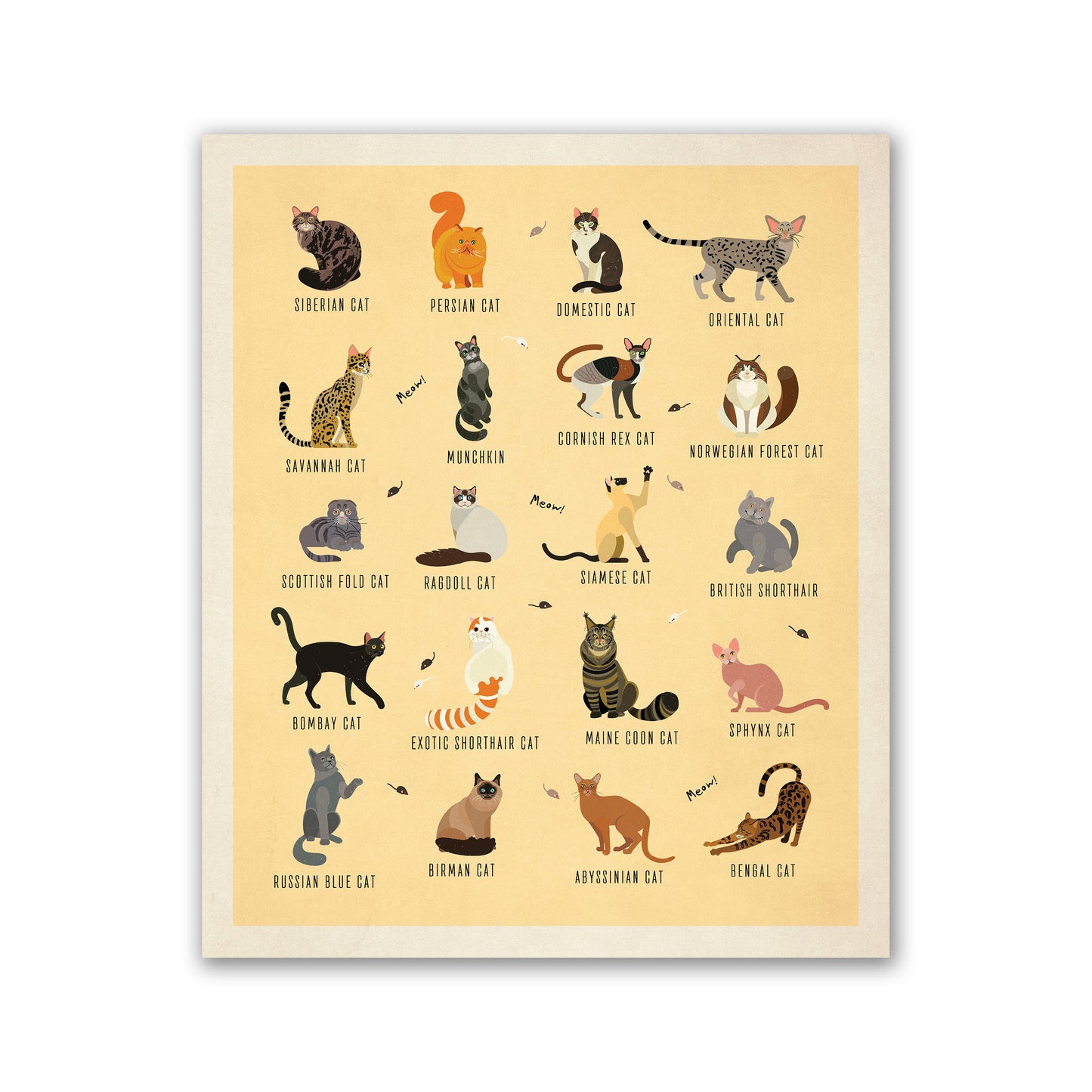 Cat Breeds Illustration - Kinds of Cat Poster / Cat Decor / Cat Lover gift / Cat Art / Cat Lover Gift / Home Decor / Cat Print / Wall Art