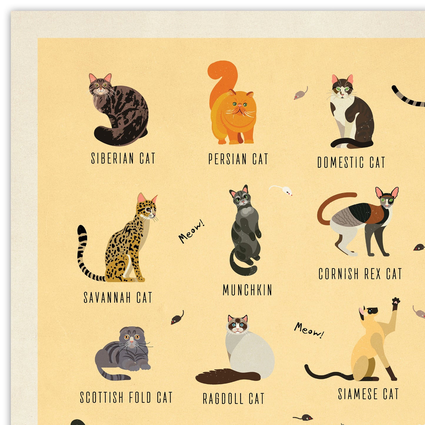 Cat Breeds Illustration - Kinds of Cat Poster / Cat Decor / Cat Lover gift / Cat Art / Cat Lover Gift / Home Decor / Cat Print / Wall Art