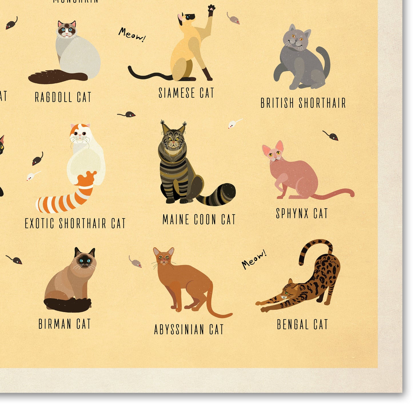 Cat Breeds Illustration - Kinds of Cat Poster / Cat Decor / Cat Lover gift / Cat Art / Cat Lover Gift / Home Decor / Cat Print / Wall Art
