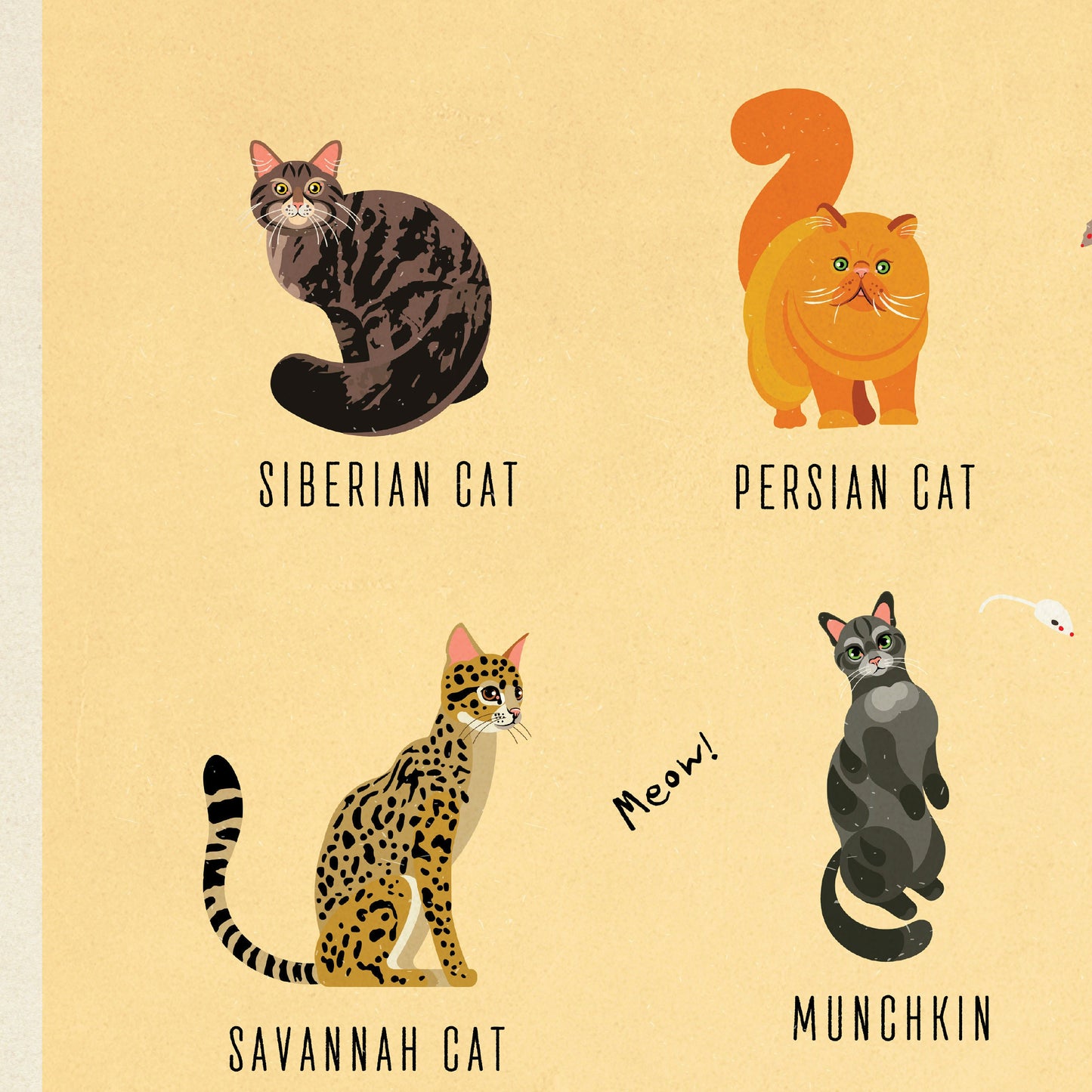 Cat Breeds Illustration - Kinds of Cat Poster / Cat Decor / Cat Lover gift / Cat Art / Cat Lover Gift / Home Decor / Cat Print / Wall Art