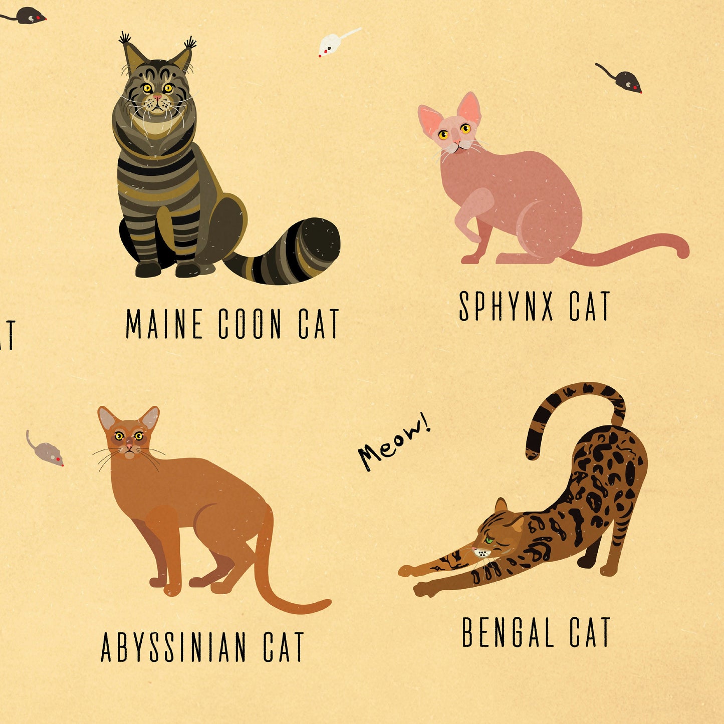 Cat Breeds Illustration - Kinds of Cat Poster / Cat Decor / Cat Lover gift / Cat Art / Cat Lover Gift / Home Decor / Cat Print / Wall Art