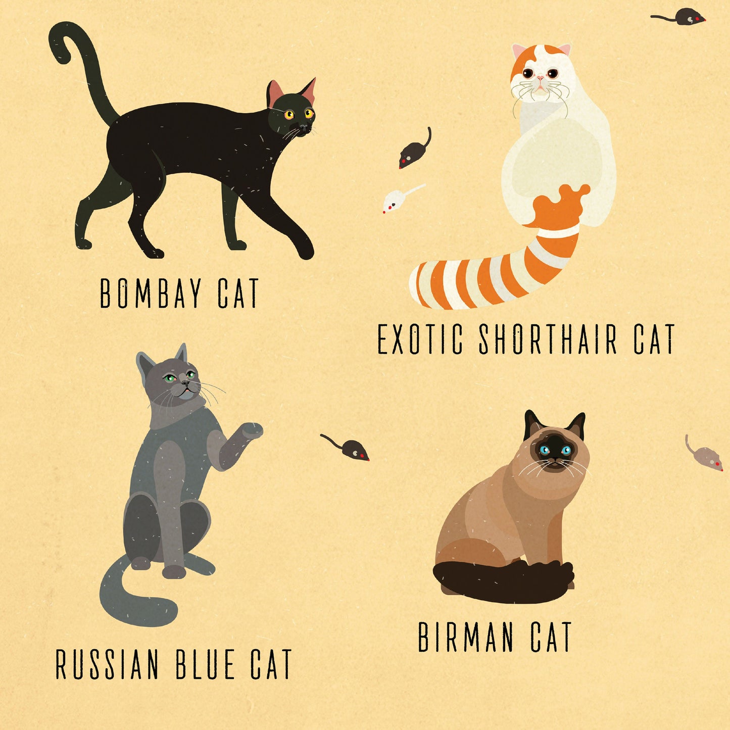 Cat Breeds Illustration - Kinds of Cat Poster / Cat Decor / Cat Lover gift / Cat Art / Cat Lover Gift / Home Decor / Cat Print / Wall Art