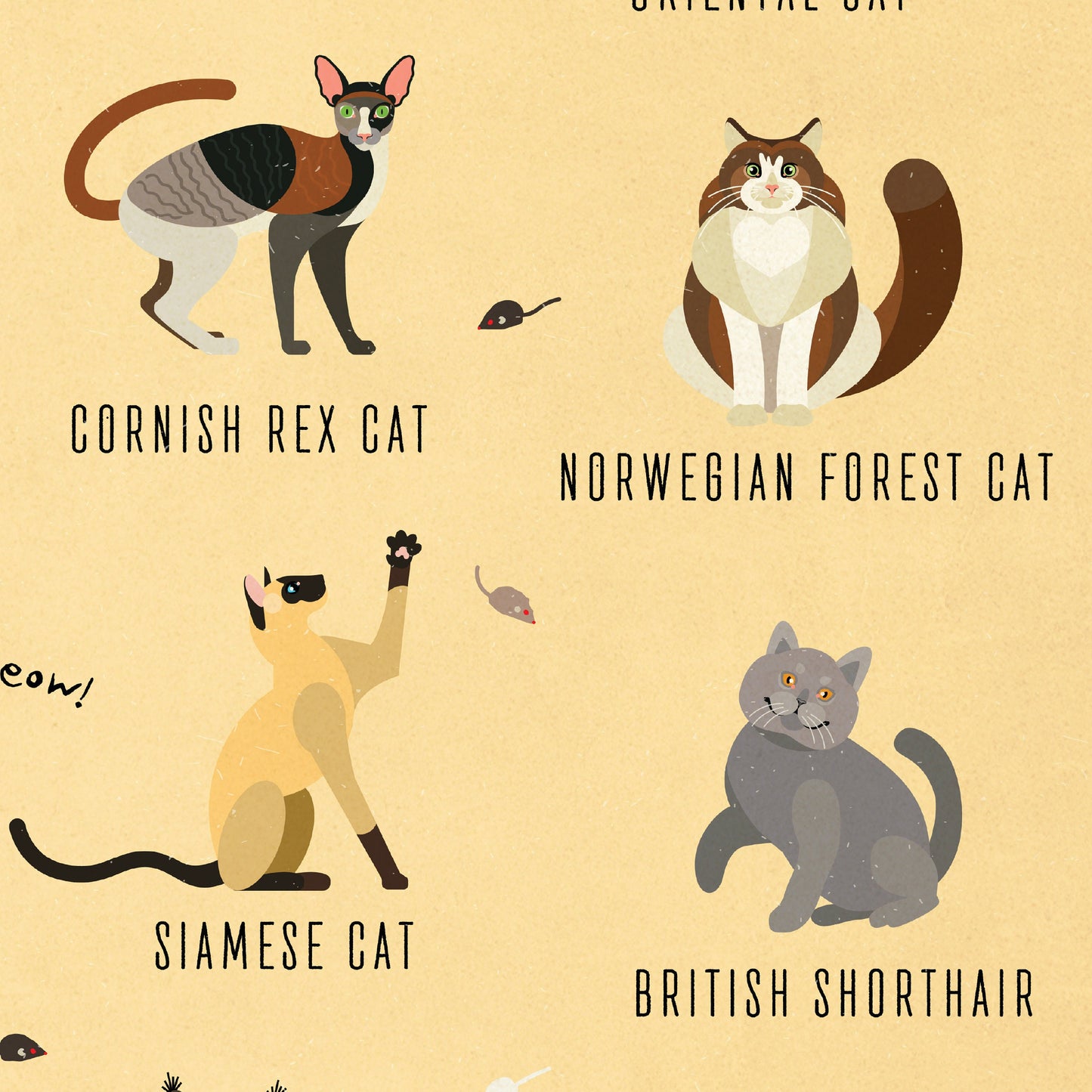Cat Breeds Illustration - Kinds of Cat Poster / Cat Decor / Cat Lover gift / Cat Art / Cat Lover Gift / Home Decor / Cat Print / Wall Art