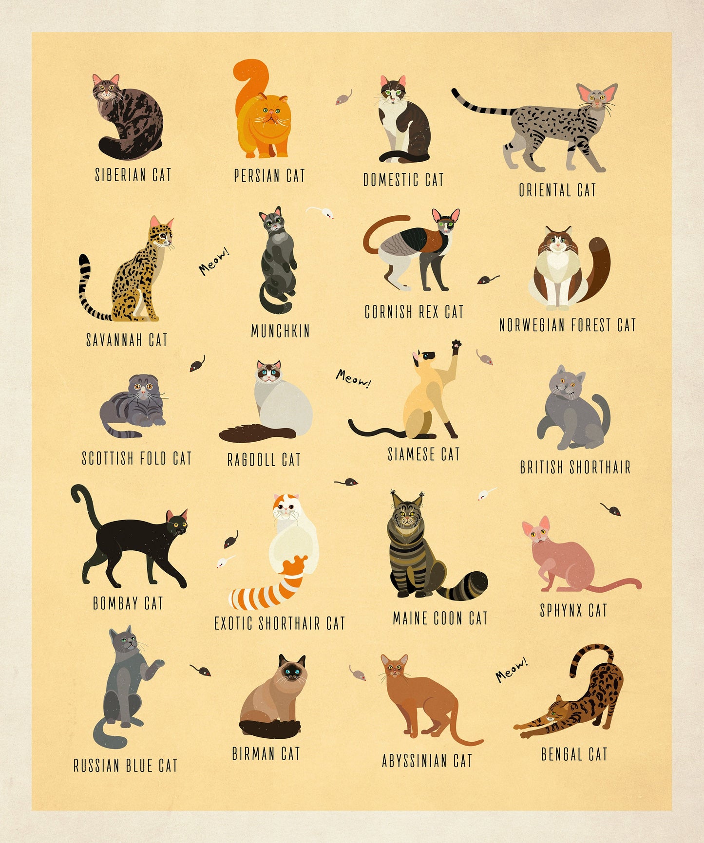 Cat Breeds Illustration - Kinds of Cat Poster / Cat Decor / Cat Lover gift / Cat Art / Cat Lover Gift / Home Decor / Cat Print / Wall Art