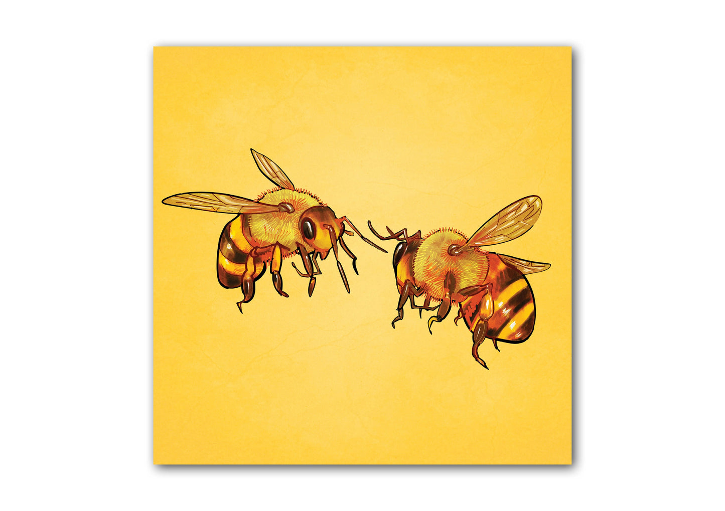 Bees Print | illustration of two bees | Bee gift | Bee Art | Wall Art | Nature Prints