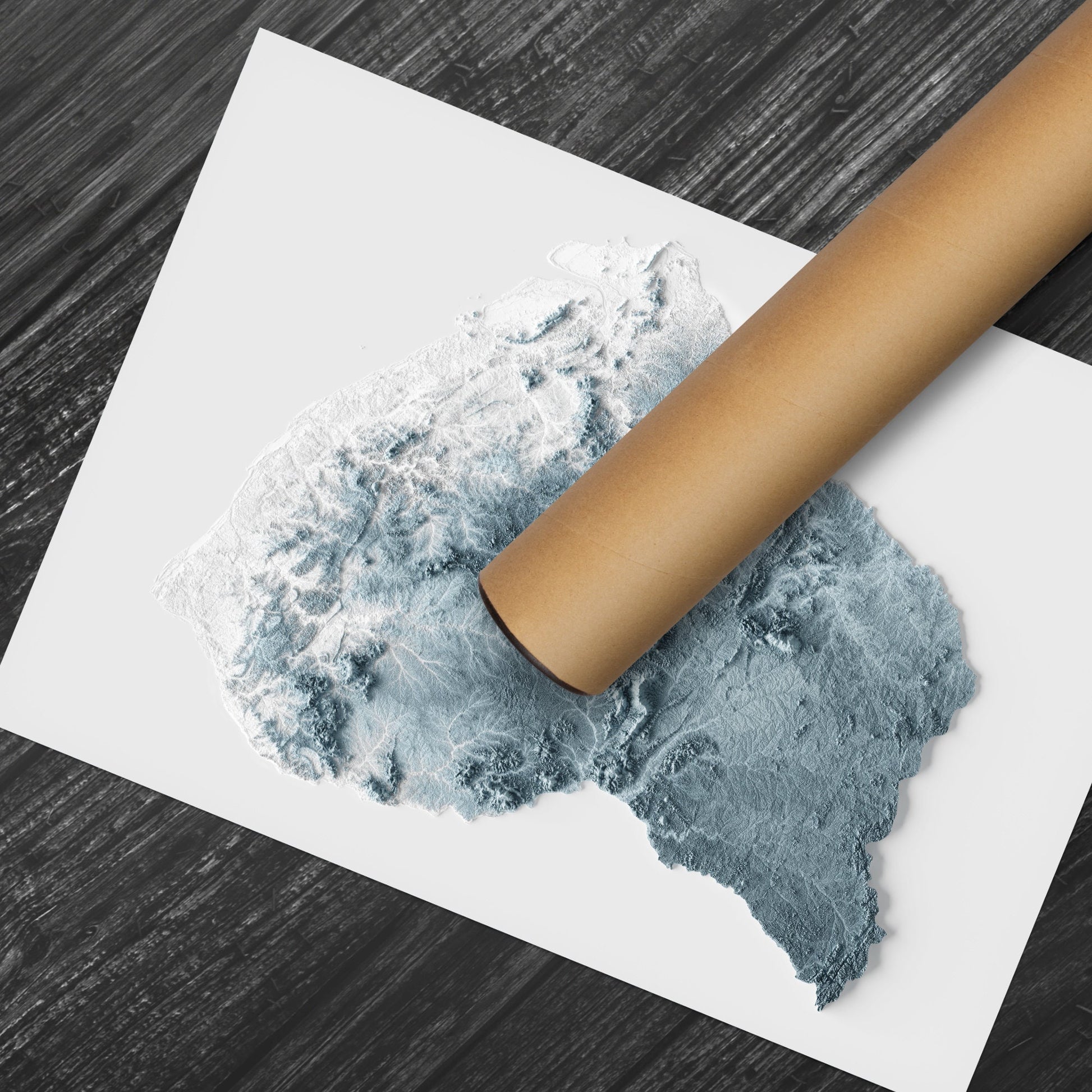 French Guiana Artistic Relief Map - Unique 2D Wall Decor - Geology - 2D Shaded Relief Map