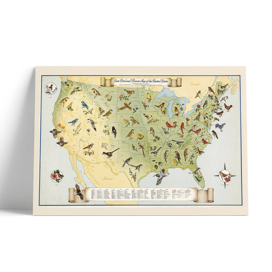 State Birds and Flowers of USA - 1965 - Reproduction Print