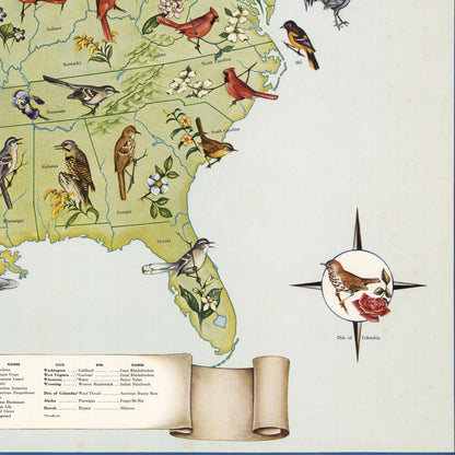 State Birds and Flowers of USA - 1965 - Reproduction Print