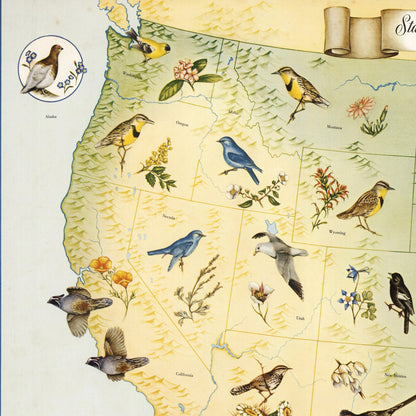 State Birds and Flowers of USA - 1965 - Reproduction Print