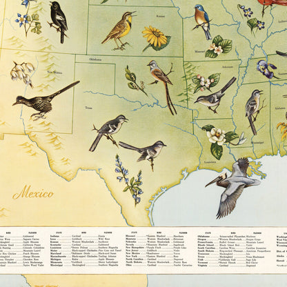 State Birds and Flowers of USA - 1965 - Reproduction Print