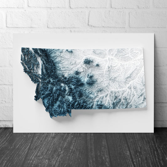 Montana Art Relief Map - 2D Print - USA Geology - 2D Shaded Relief Map - United States of America