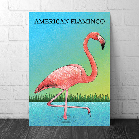 Flamingo Print -American Flamingo - Illustration - Zoology
