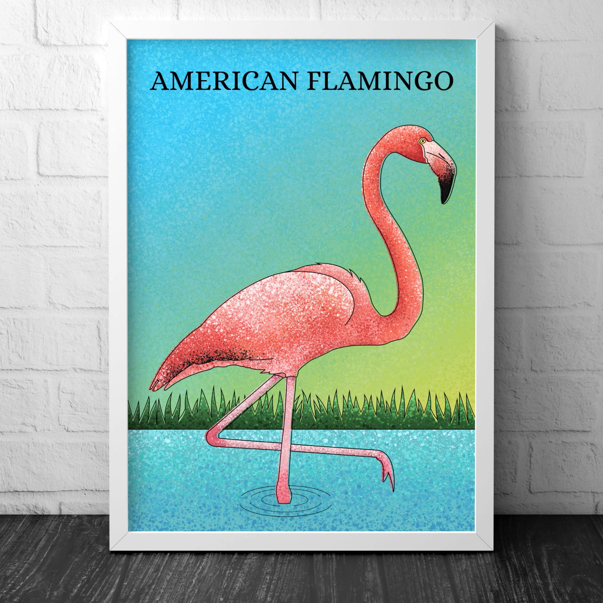 Flamingo Print -American Flamingo - Illustration - Zoology
