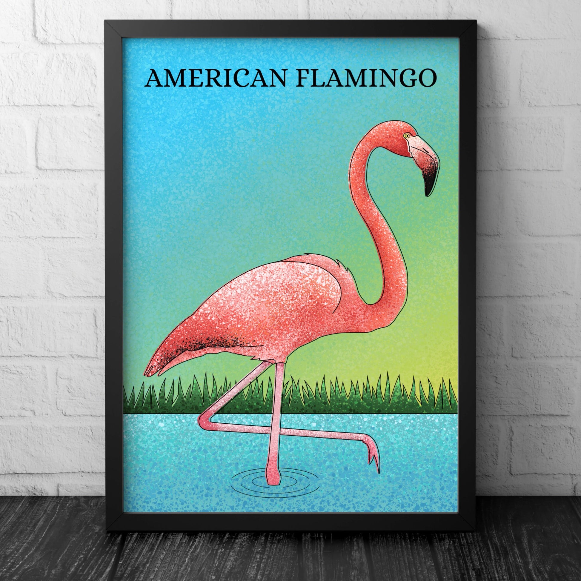 Flamingo Print -American Flamingo - Illustration - Zoology
