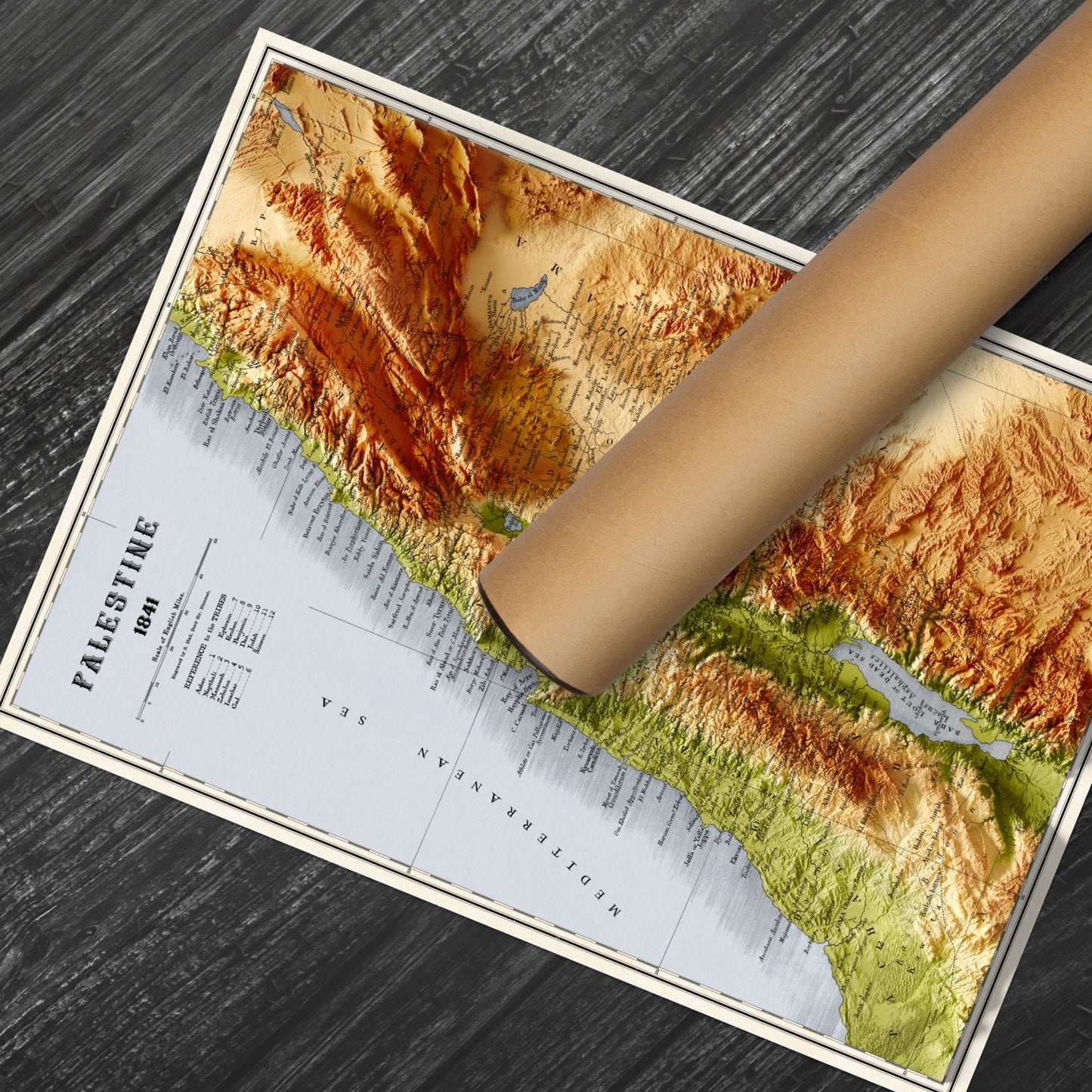 Palestine Map  - Topographic Shaded Elevation Relief Map - Vintage Style  -  Bible Study - 12 tribes - Asher - Nephtali - Gad - Judah - 1844