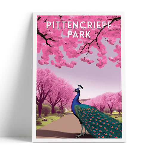 Pittencrieff Park - Peacock illustration - Dunfermline Poster