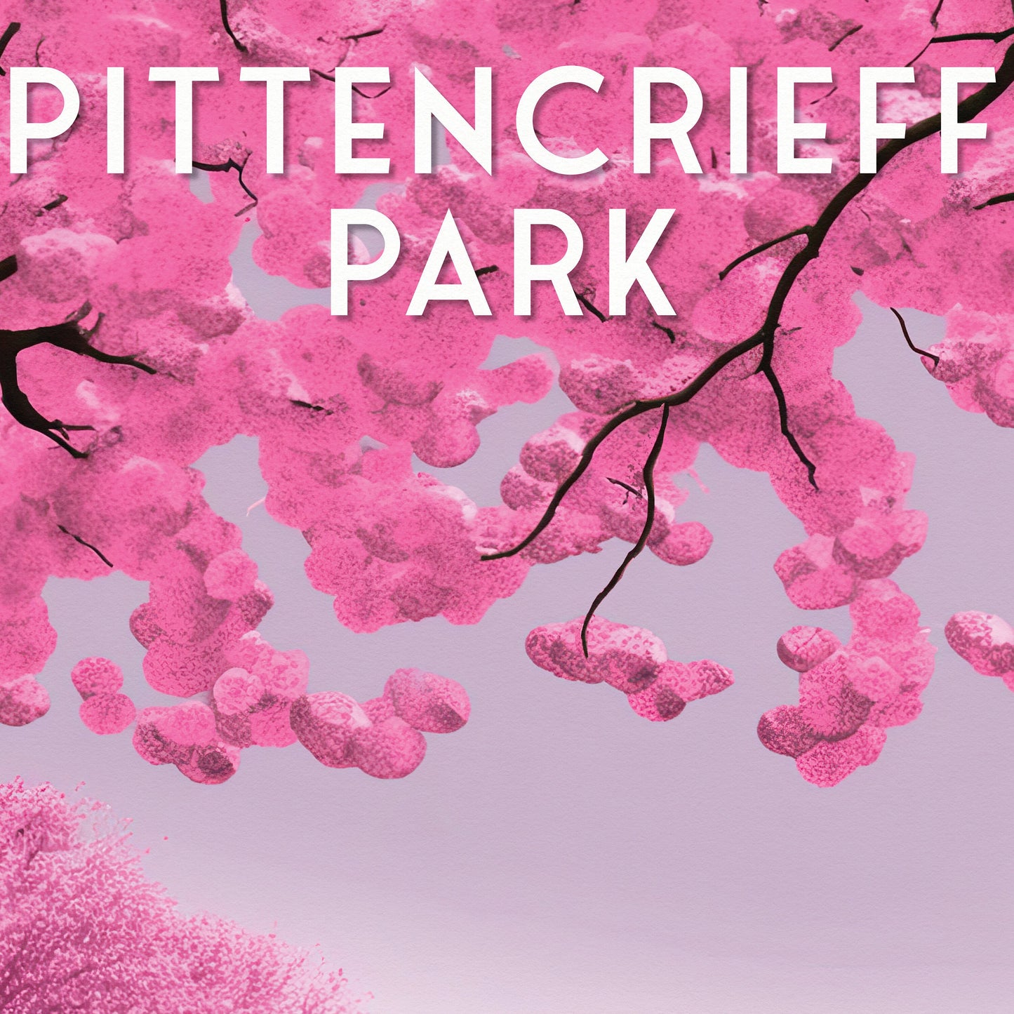 Pittencrieff Park - Peacock illustration - Dunfermline Poster