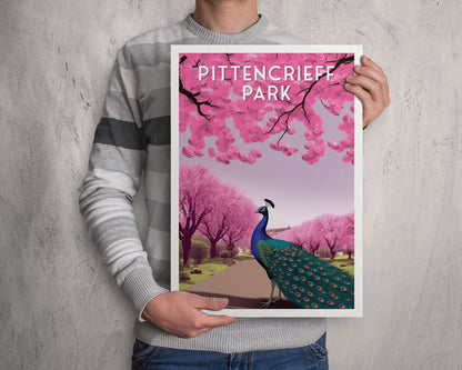 Pittencrieff Park - Peacock illustration - Dunfermline Poster