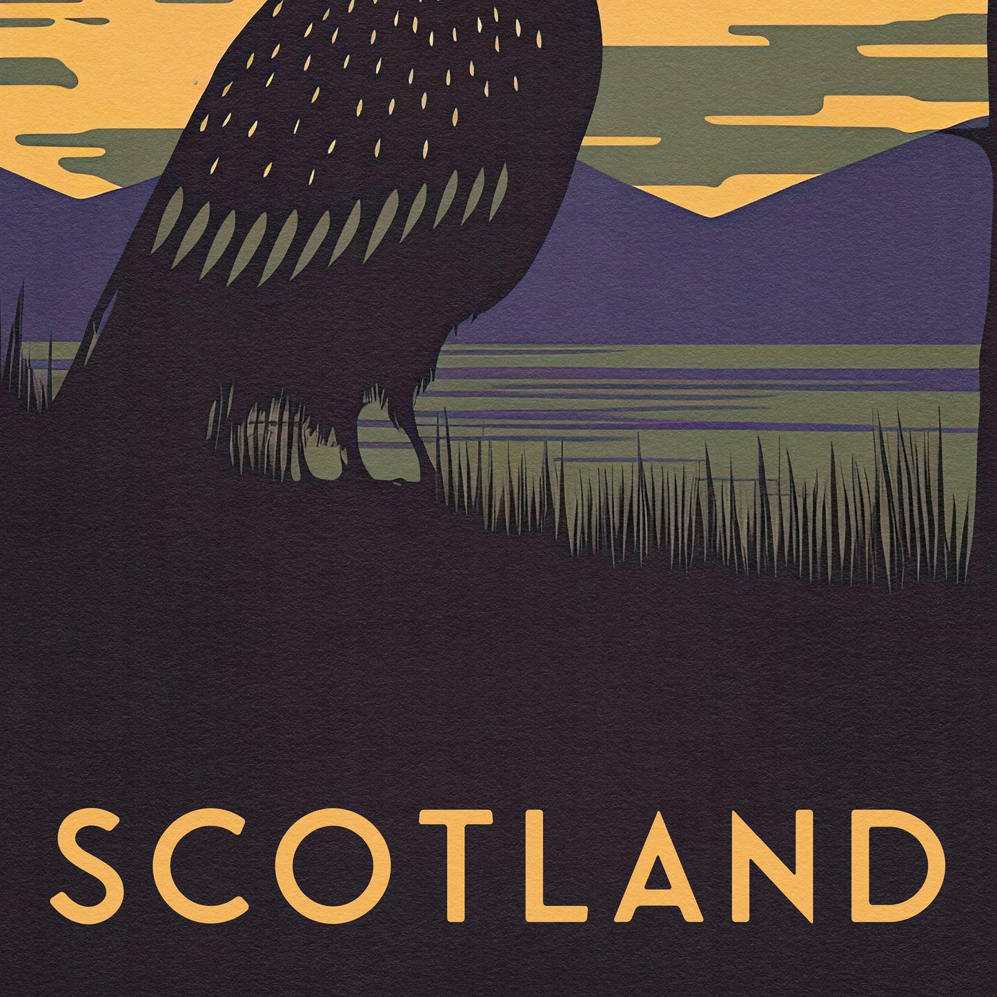 Scotland Capercaillie Print | Scottish Highlands | Tetrao urogallus | Scottish Gift | capercailye | capercaillye | capercailzie | capercally