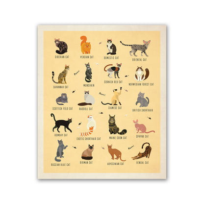 Cat Breeds Illustration - Kinds of Cat Poster / Cat Decor / Cat Lover gift / Cat Art / Cat Lover Gift / Home Decor / Cat Print  / Wall Art