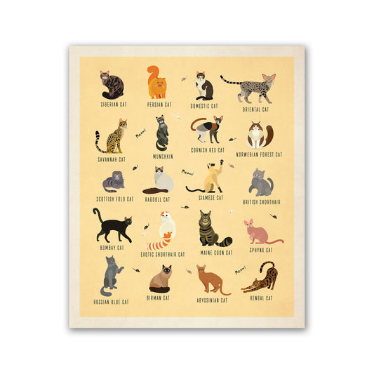 Cat Breeds Illustration - Kinds of Cat Poster / Cat Decor / Cat Lover gift / Cat Art / Cat Lover Gift / Home Decor / Cat Print  / Wall Art