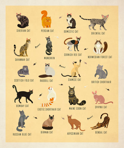 Cat Breeds Illustration - Kinds of Cat Poster / Cat Decor / Cat Lover gift / Cat Art / Cat Lover Gift / Home Decor / Cat Print  / Wall Art