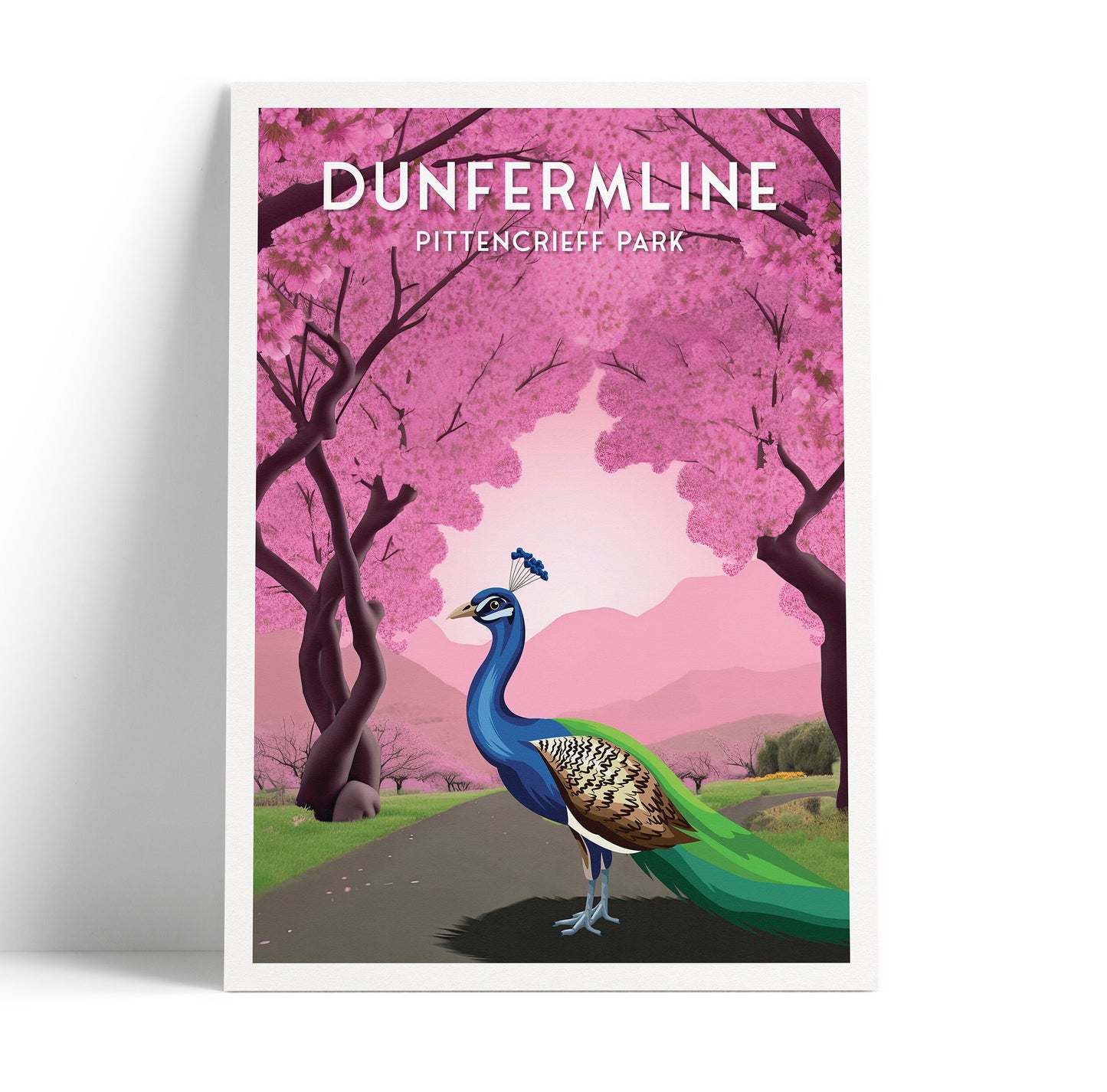 Dunfermline Pittencrieff Park - Peacock illustration Poster - Cherry Blossom Trees