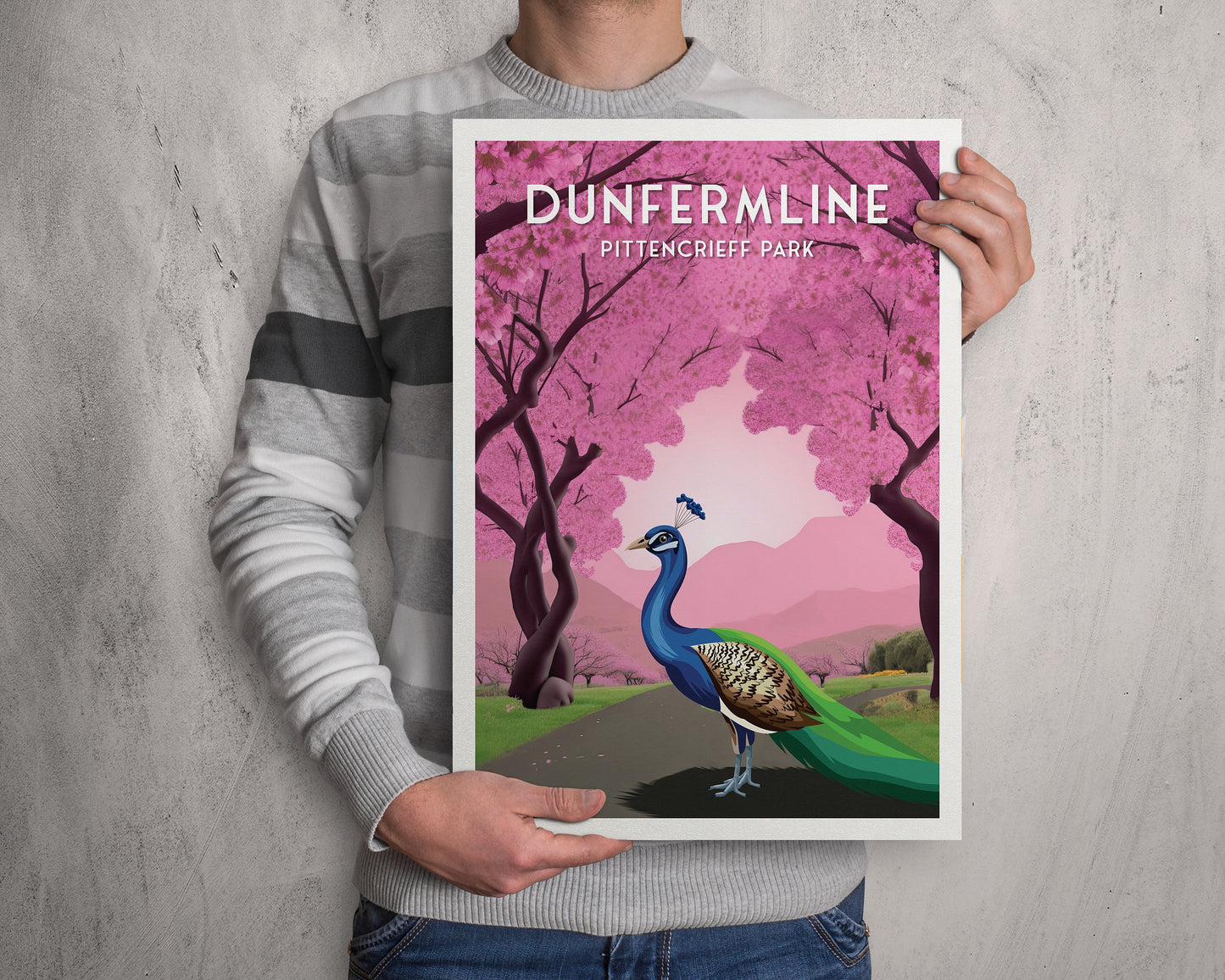 Dunfermline Pittencrieff Park - Peacock illustration Poster - Cherry Blossom Trees