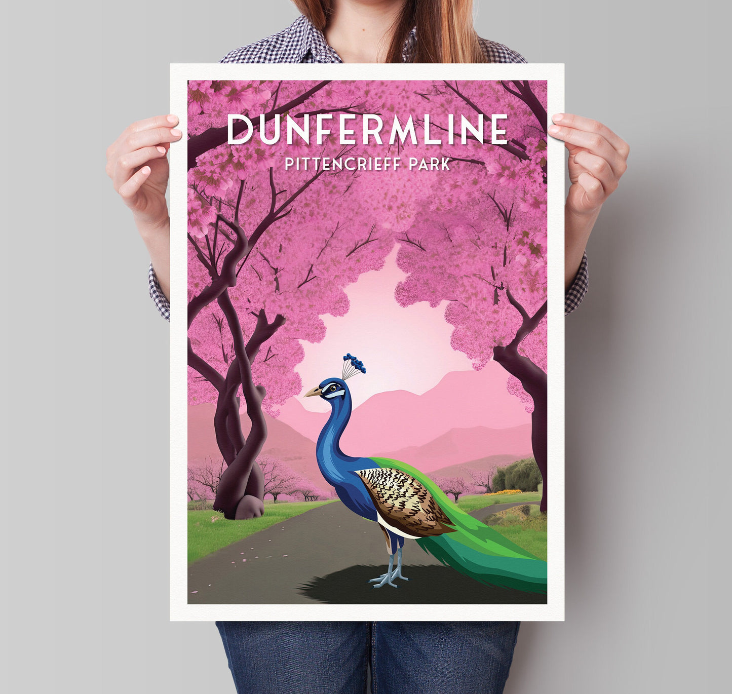 Dunfermline Pittencrieff Park - Peacock illustration Poster - Cherry Blossom Trees