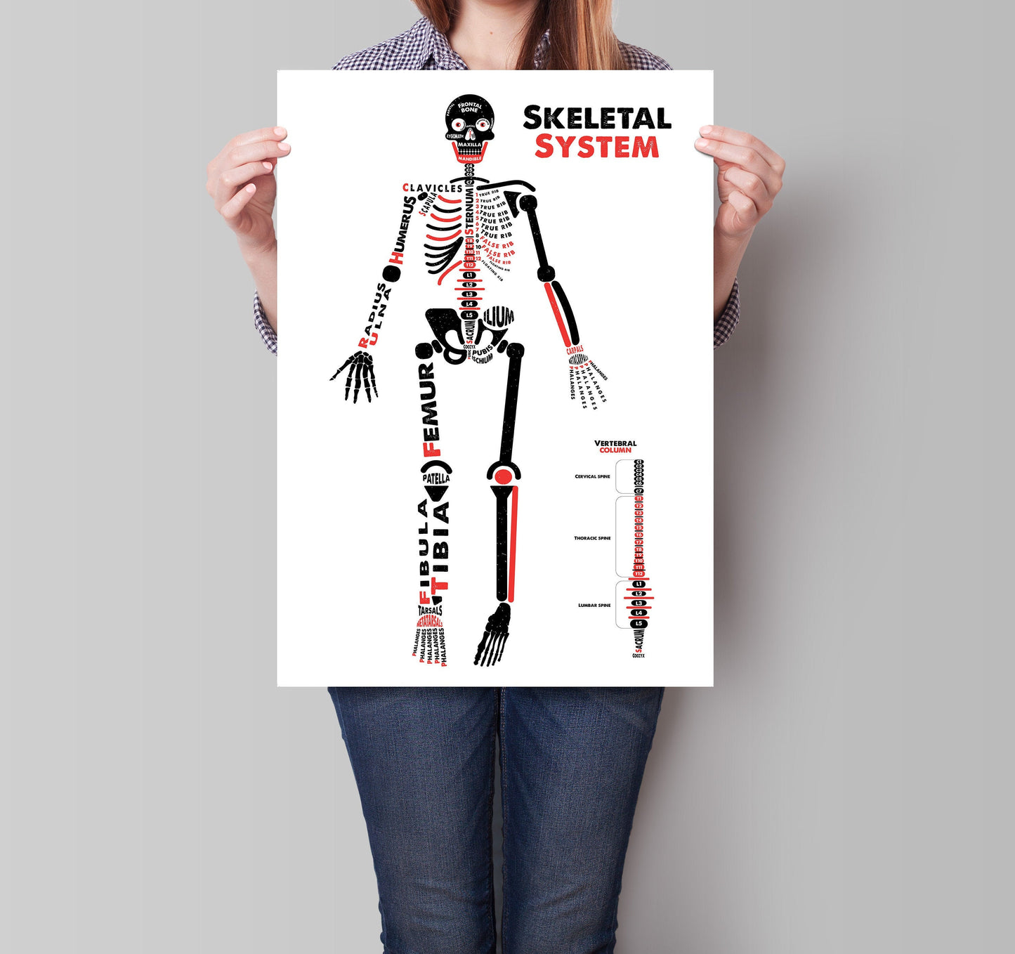 Human Skeleton Anatomy Poster / Typographic Anatomy Print / Educational Diagram / Biology Poster / Skeletal System / Skeleton Illustration