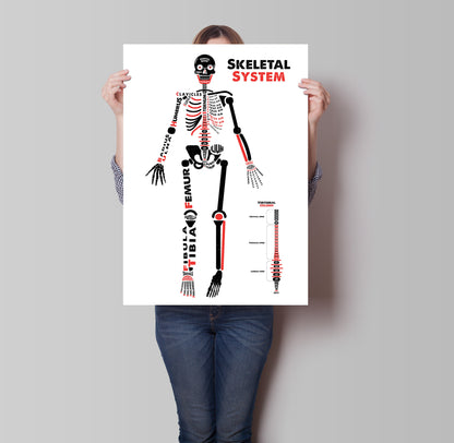 Human Skeleton Anatomy Poster / Typographic Anatomy Print / Educational Diagram / Biology Poster / Skeletal System / Skeleton Illustration