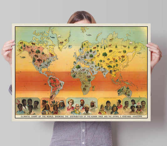 Climatic Chart Of The World, Showing The Distribution Of The Human Race And The Animal And Vegetable Kingdoms, 1893 Vintage Map