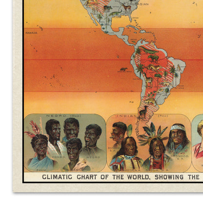 Climatic Chart Of The World, Showing The Distribution Of The Human Race And The Animal And Vegetable Kingdoms, 1893 Vintage Map