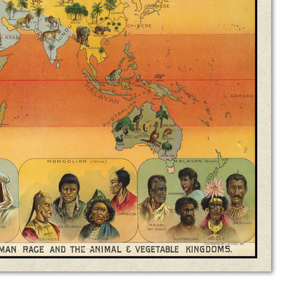 Climatic Chart Of The World, Showing The Distribution Of The Human Race And The Animal And Vegetable Kingdoms, 1893 Vintage Map