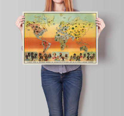 Climatic Chart Of The World, Showing The Distribution Of The Human Race And The Animal And Vegetable Kingdoms, 1893 Vintage Map