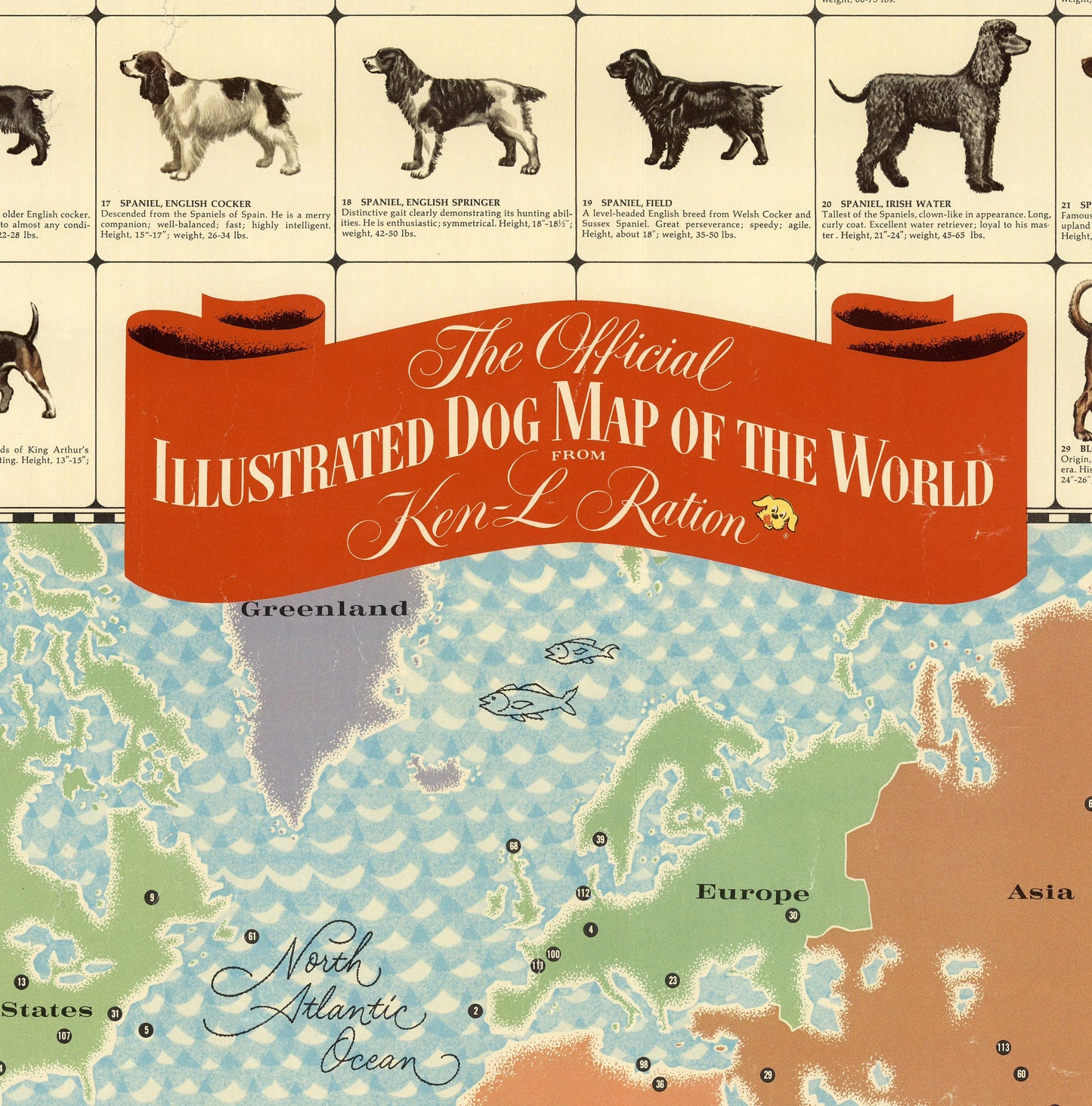 The official illustrated dog map of the world